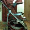 Inglesina Zippy