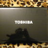Toshiba Toshiba Satellite A215 (S4747)