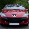 Peugeot 307 Zizu 2006