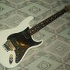 - FENDER Double Fat Strat Floyd Rose