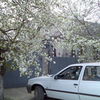 Opel kadett 1988