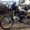 mustang 2008