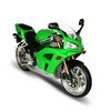 SPORT RECING MOTORCAYCLE PHOEN 2009