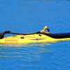 Powerski Jetboard