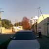 Honda accord 1995