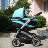 Barracuda Coneco
