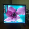 sempron 3500 (1,86 Hz) n Force 610 on board Geforce 6100