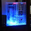 AMD Athlon 64 X2 3800+ 2200 MHz Asus M2N-E NVIDIA GeForce 9800 GT (512 Mb GDDR3, Bu