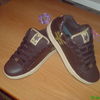 ZOO YORK