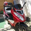 Viper Victori 50 2009