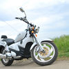 BMW V5 CF MOTO 2010