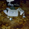 PS1