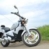 BMW V 5 2010