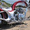 Harley-Davidson Castom Kobra B 200 2010