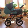 Inglesina Magnum