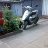 Honda honda dio zr 1990