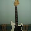 - FENDER Double Fat Strat Floyd Rose