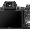 Sony DSC-H50 (Black)