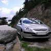 Peugeot 307 2003