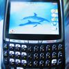 BlackBerry 8700