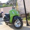 Honda Joker 1996