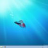 Windows 7 (beta)