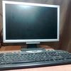 Acer Acer