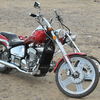 Regal-Raptor 300 2011