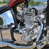 Regal-Raptor 300 2011