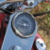 Regal-Raptor 300 2011