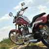 Regal-Raptor 300 2011