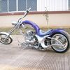 CUSTOM KOBRA B-200 2011