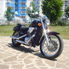Honda STEED VLX-600 Black Bird 1997