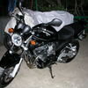 Suzuki Bandit 650 2005