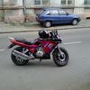 Shtorm Wind 200cc 2008