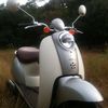 Honda Scoopy 2004