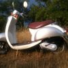 Honda Scoopy 2004