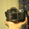 Nikon D80
