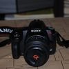 Sony DSLR-A290 + 18-55