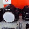 Sony DSLR-A290 + 18-55