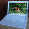 Apple MacBook 2,1