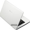 Asus X301A (X301A-Rx150H?)