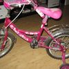 prodam  velosiped   800 griven.   noviy.