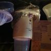 Baby Bottle. TOPCOM