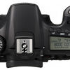 Canon 60D Body