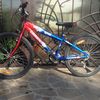Comanche Indigo RF