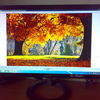 ASUS Asus VX238H