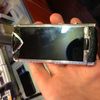 Vertu vertu constellation touch iguana