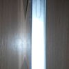 Apple iphone 5
