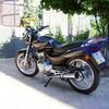 LZX 125 2007